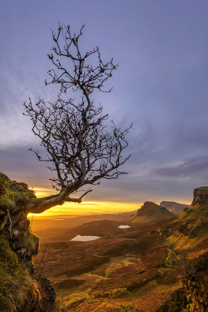 Clinging On For Dear Life, Sunrise at Quiraing, Isle of Skye, Scotland