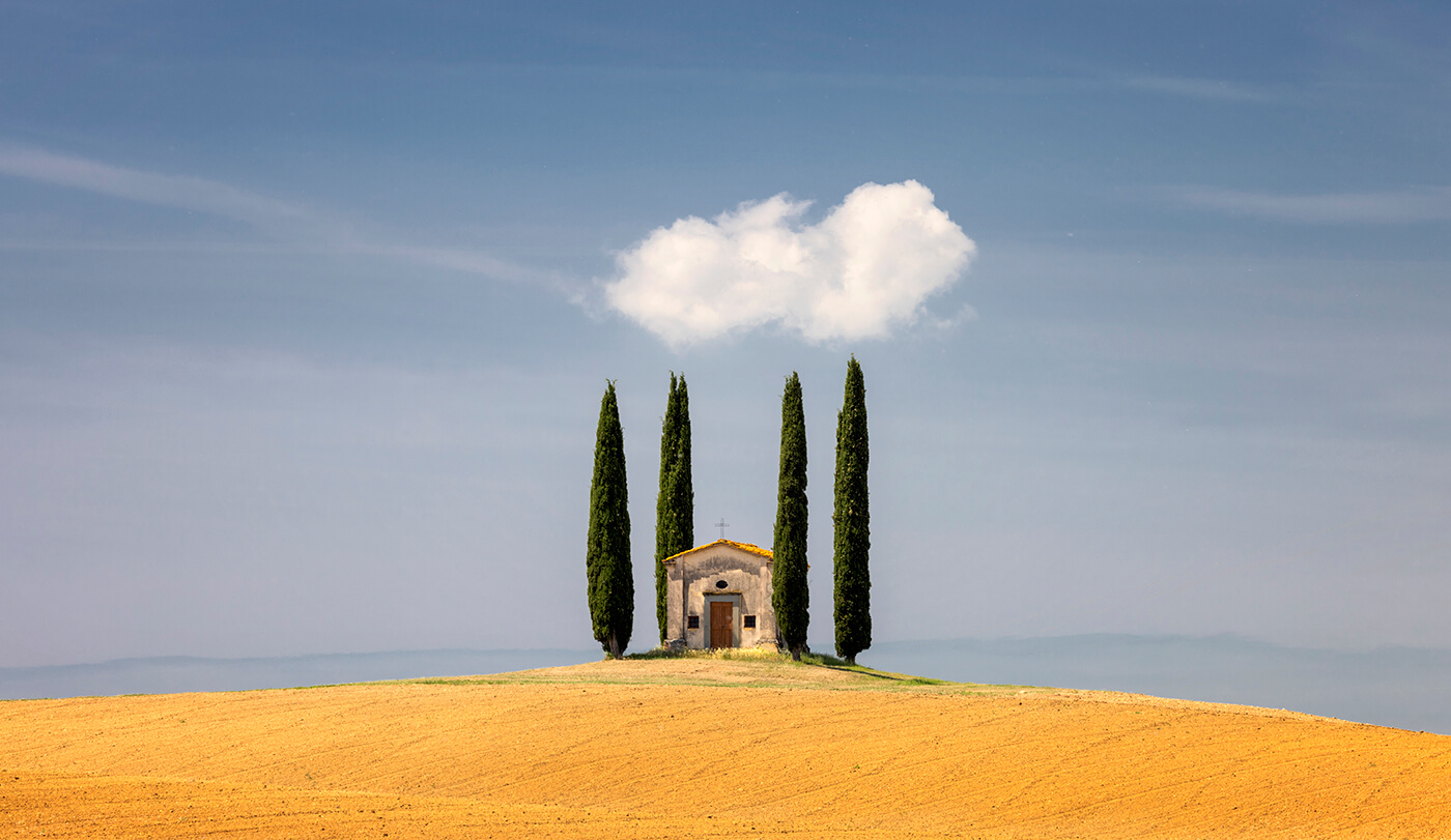 Cypress trees in Tuscany